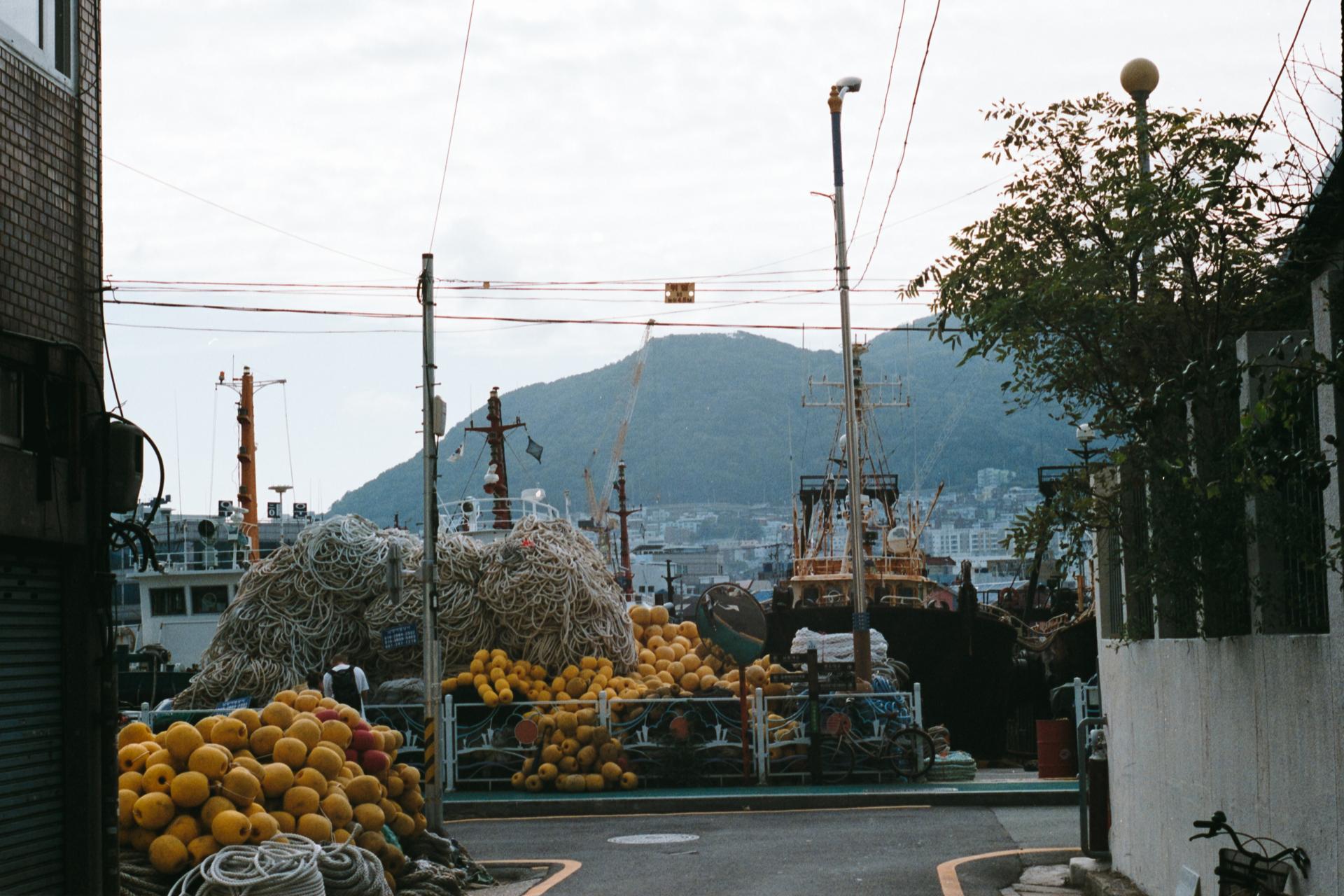 Thumbnail /2022 Korea/_Busan/_busan fruits.jpg